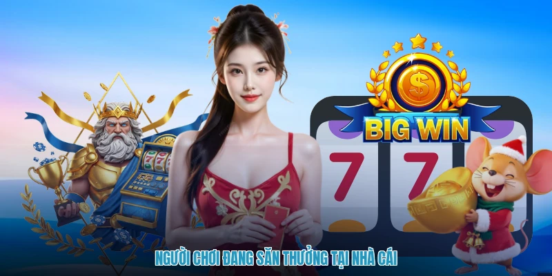 Người chơi đang săn thưởng tại nhà cái